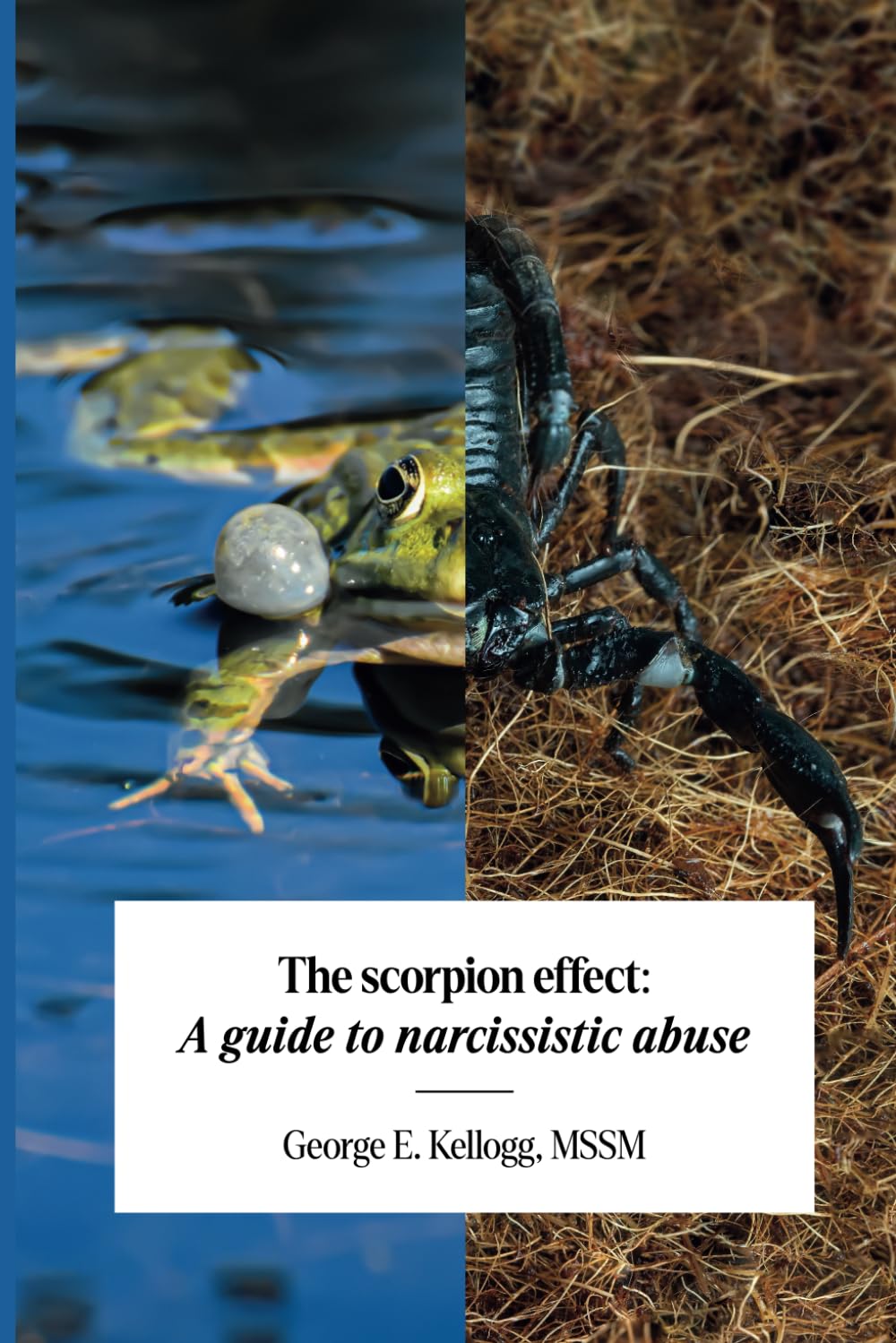 The Scorpion Effect: A Guide to Narcissistic Abuse