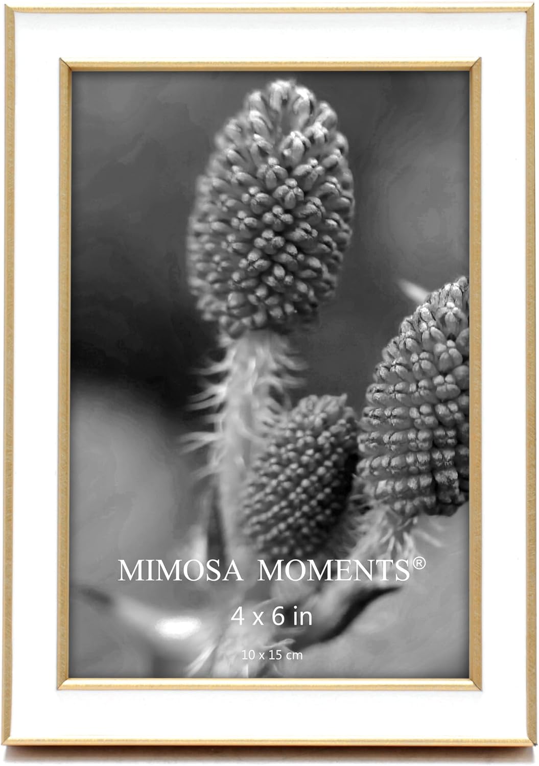 4x6 Brass tone with White Enamel Picture Frame