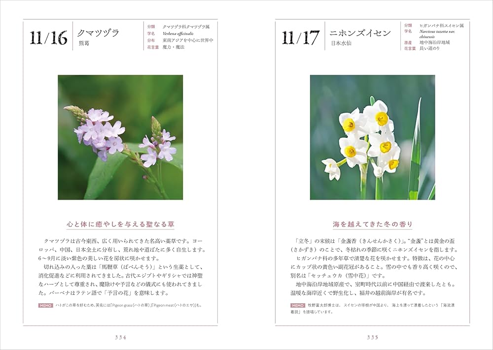 花と暦を楽しむ366日 -あなたに贈りたい、季節の花- | 森乃 おと, 暦 花と暦を楽しむ366日 -あなたに贈りたい、季節の花- | 森乃 おと, 暦