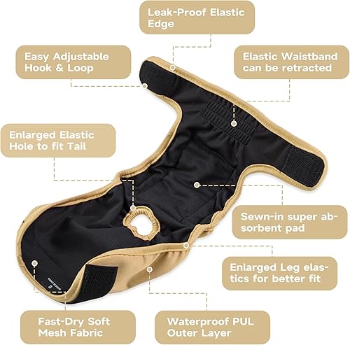 Miniatura 10 de Paw Legend - Pañales reutilizables para perro hembra, 3 unidades