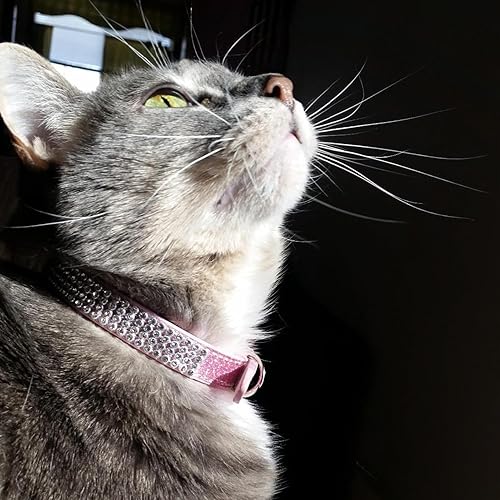 Miniatura 7 de PUPTECK Collar de gato ajustable básico con diamantes brillantes y campanas dobles, para gatito y cachorro pequeño, moda y brillante (XXS collar
