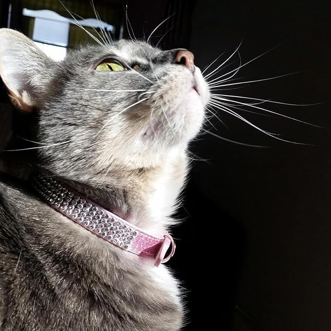 Collar PUPTECK ajustable para gato con diamantes y campanas, rosa miniatura 7
