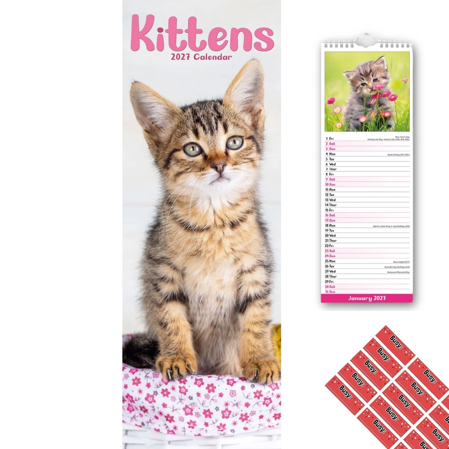 Avonside Kittens 2027 Slimline Calendar with Organisational Stickers