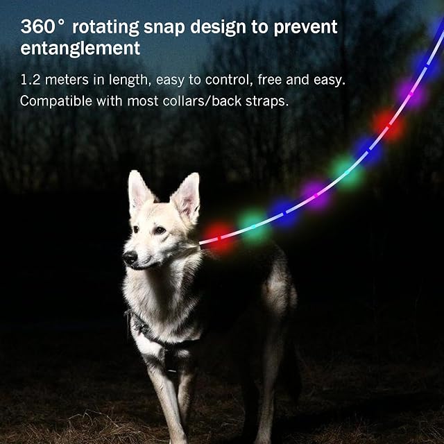 Foto 6 de 7 de Correa LED para perros, 9 modos que brillan en la oscuridad, 1,2 m, recargable por USB