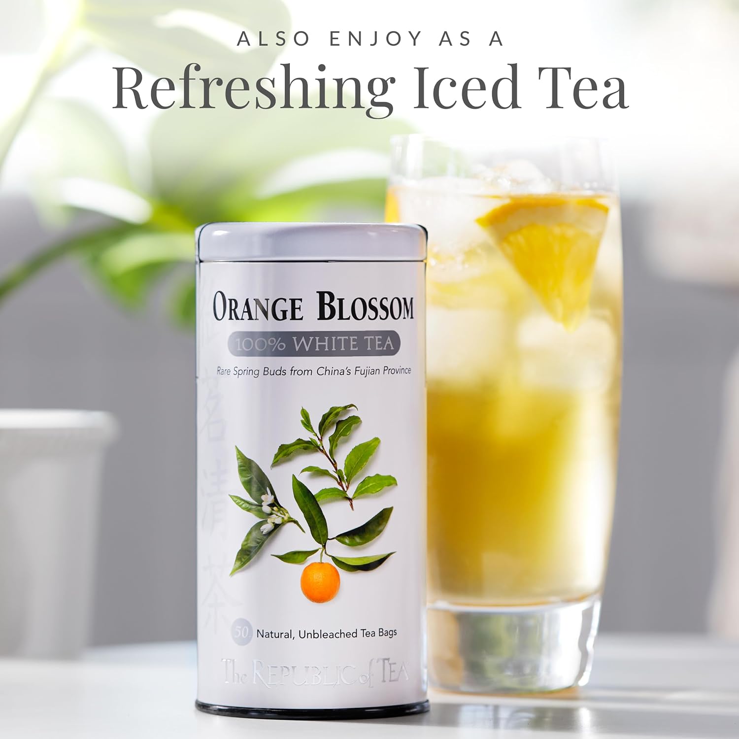 The Republic of Tea – Orange Blossom 100% White Tea Bags, Steeps 50 Low-Caffeinated Cups - Image 4
