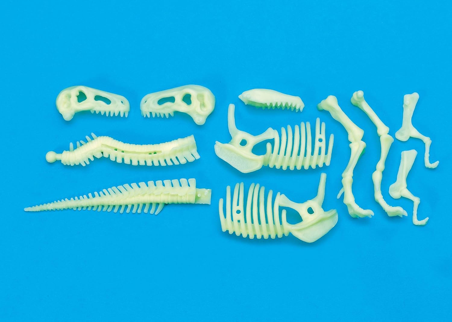 The Original Glowstars Company Original Glow Stars Glow-in-The-Dark Dinos T-Rex Skeleton Designed for Children Ages 3+ Years
