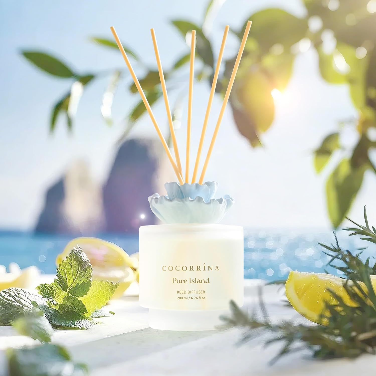 COCORRÍNA Gypsum Flower Reed Diffuser – Pure Island Scent, 6.76 oz Oil with 8 Sticks, Long-Lasting Home Fragrance for Bathroom Décor - Image 4
