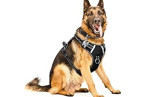 Harness the Adventure: XL Dog Harness for Extra Large Dogs