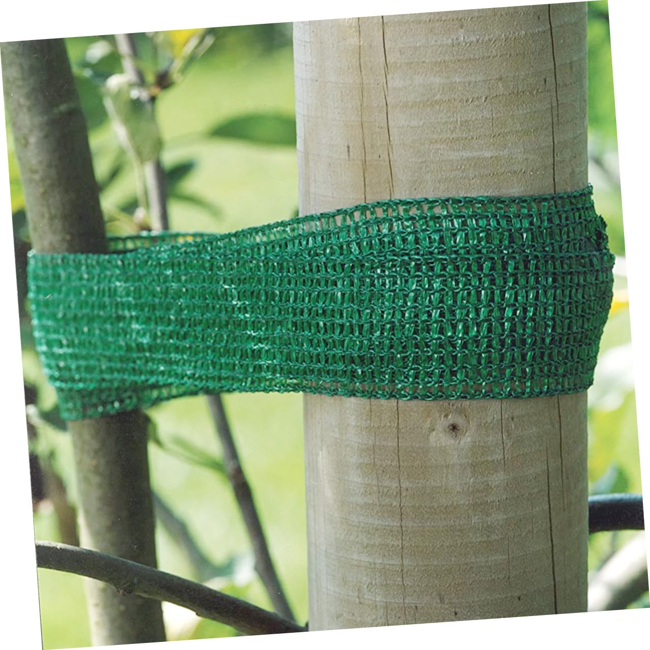 OSALADI 45pièces Matériel De Support Tuteurage pour Plantes Lien De Jardinage pour Soutien des Arbres s Plantes Plein Air
