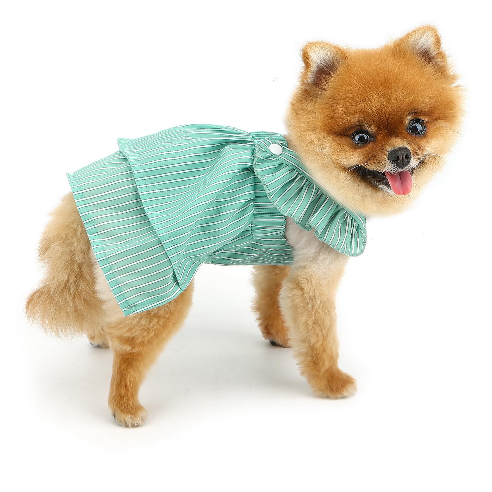 PAIDEFUL Small Dog Double-Layer Dress Fashion Striped Pet Princess Skirt Lightweight Breathable Puppy Strap Shirt with Ruffles Soft Cozy Doggie Clothes Summer Chihuahua Outfits Cat Apparel,Green,M