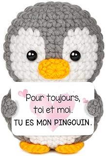 Gleevara Cadeau Couple Amoureux pour Femme Homme, Pingouin Mignon Crocheté à la Main, Idee Cadeau Couple, Cadeau Anniversaire Saint-Valentin pour Petite Amie Petit Ami