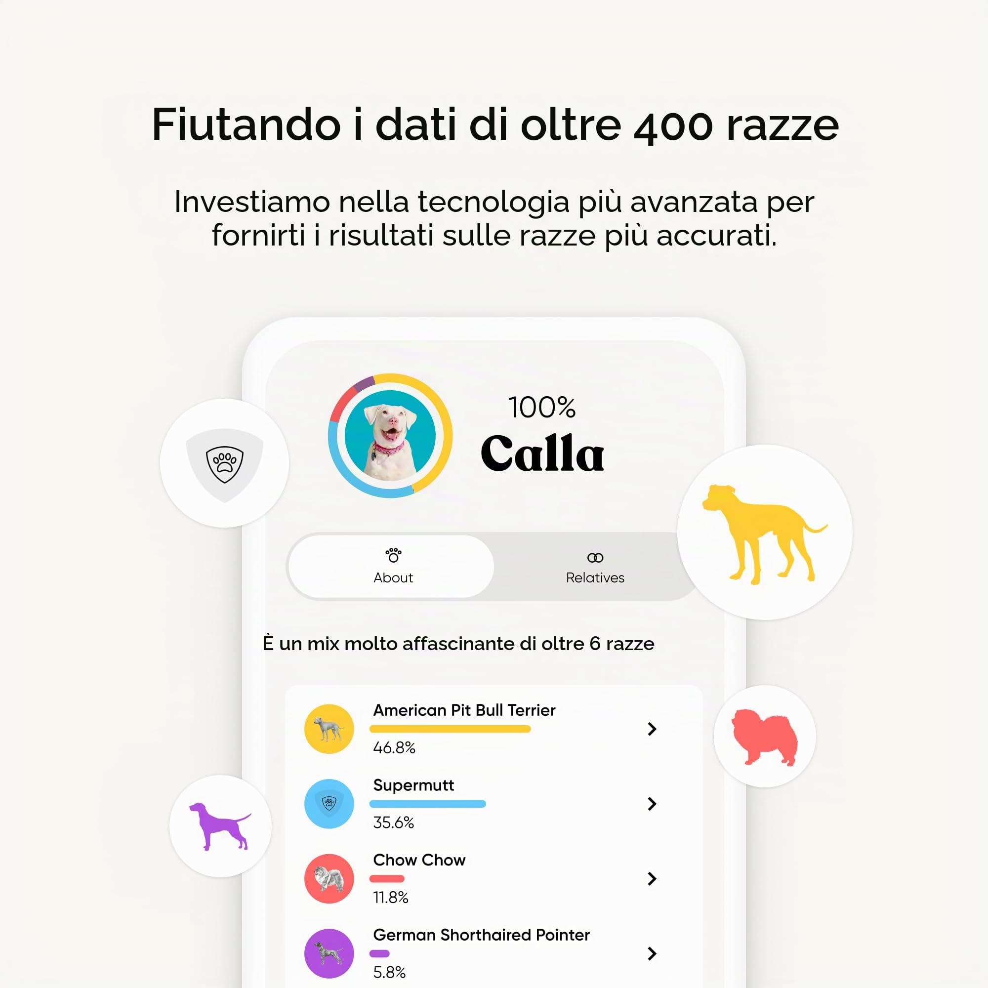 Embark - Test del DNA per cane, kit di identificazione della razza