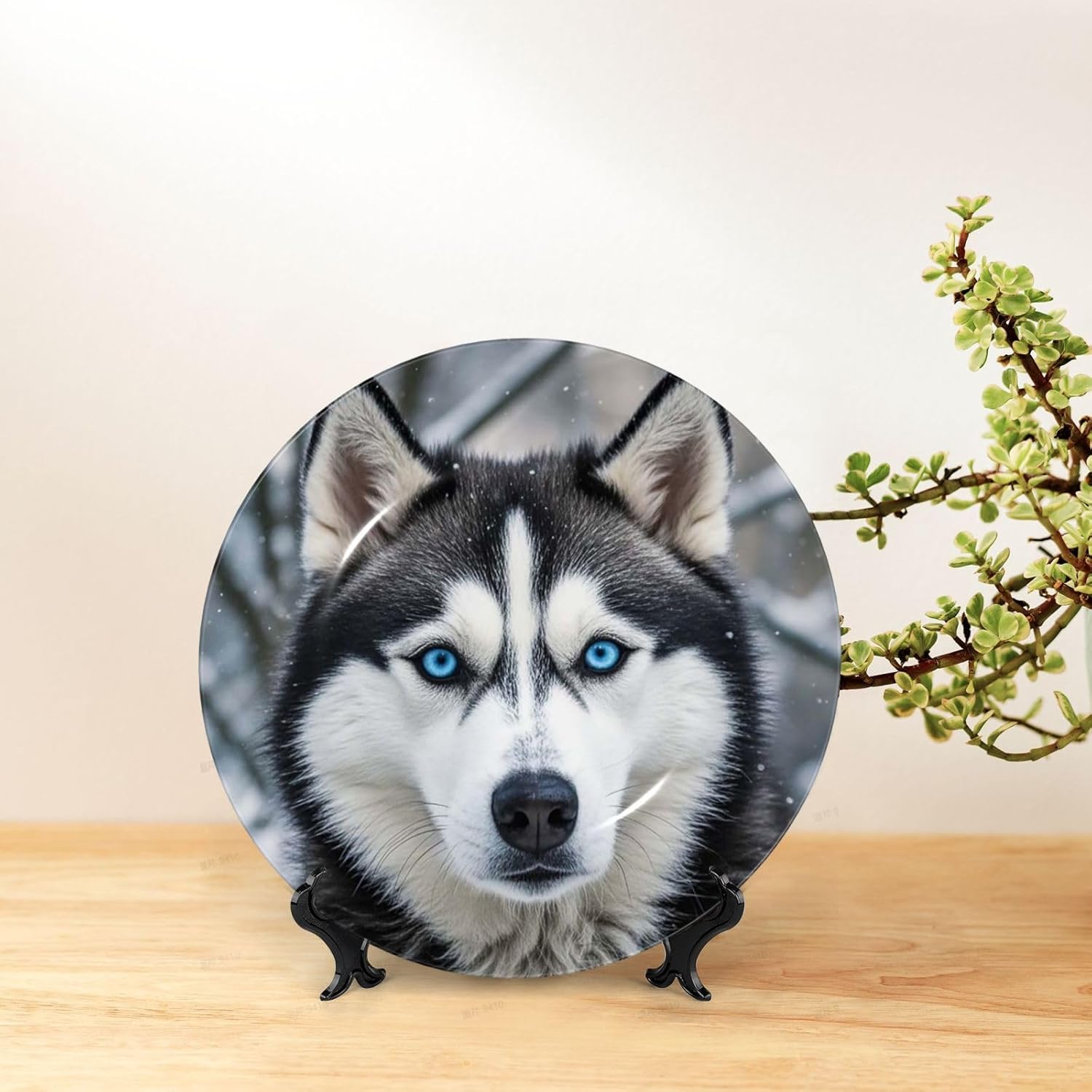 Bone China Decorative Plate with Display Blue eyed husky Ceramic Plates Crafts Art Decor Dessert Plate Ceramic Ornament Porcelain Plates for Living Room Kitchen Table Home Decor