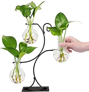 Renmxj 2026 New Desktop Plant Propagation Stations, Plant Terrarium with Metal Stand, 3 Bulb Glass Propagation Vases for Hydroponic Plants, Home Office Decor Planter Gardening Gifts for Women