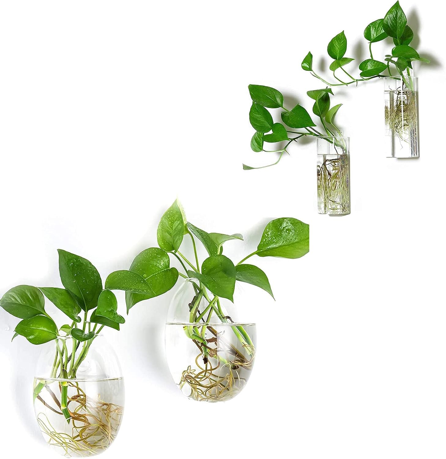 Kingbuy Wall Hanging Glass Planter Flower Vase Plant Propagation Station for Hydroponic Plants Home Office Garden Decor - Egg Shape Plant Terrarium and Square Shape Vase