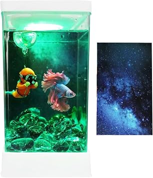 Betta Fish Tank, Desktop Aquarium Starter Kit, Mini Tank With Filter, LED Lighting, Small Tabletop, Study Room Decor, Office Landscape, Compact Aquatic Habitat