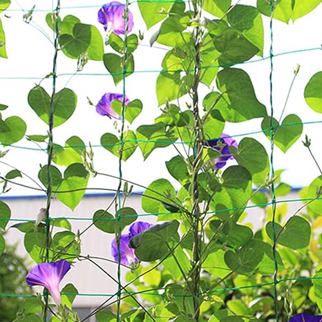 Amazon Co Jp つる植物 ネット つる栽培ネット 園芸ネット かんたん ガーデニングネット 10cm角目 四隅取付ロープ付 3 6 耐久性 農業用 園芸用 きゅうり ゴーヤ ヘチマ つるバラ 防鳥ネット 1 8 2 7m Diy 工具 ガーデン