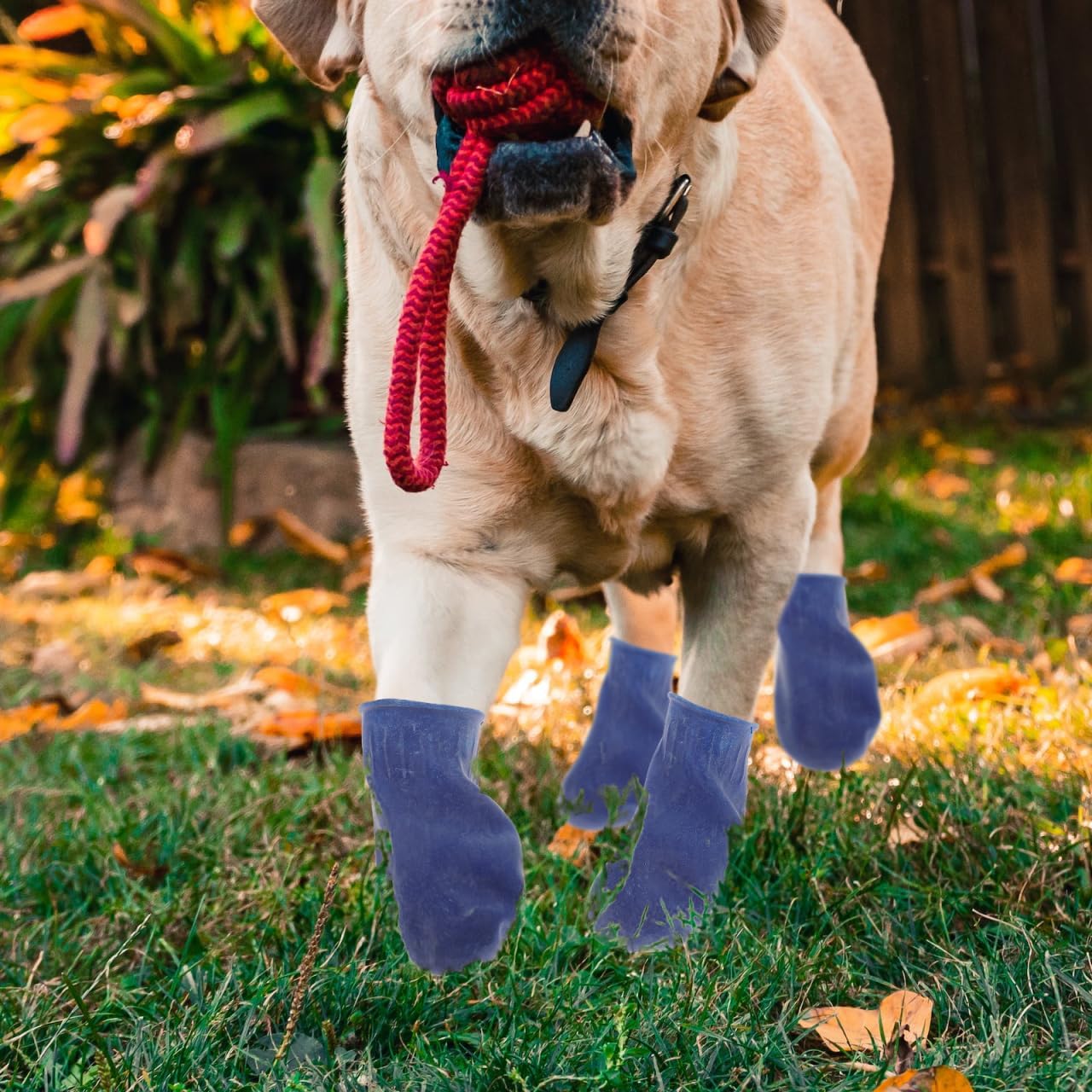 UKCOCO Waterproof Dog Boots Medium Size Non-Slip Outdoor Rain Shoes Protective Paw Covers for Dogs Durable Comfortable Wear