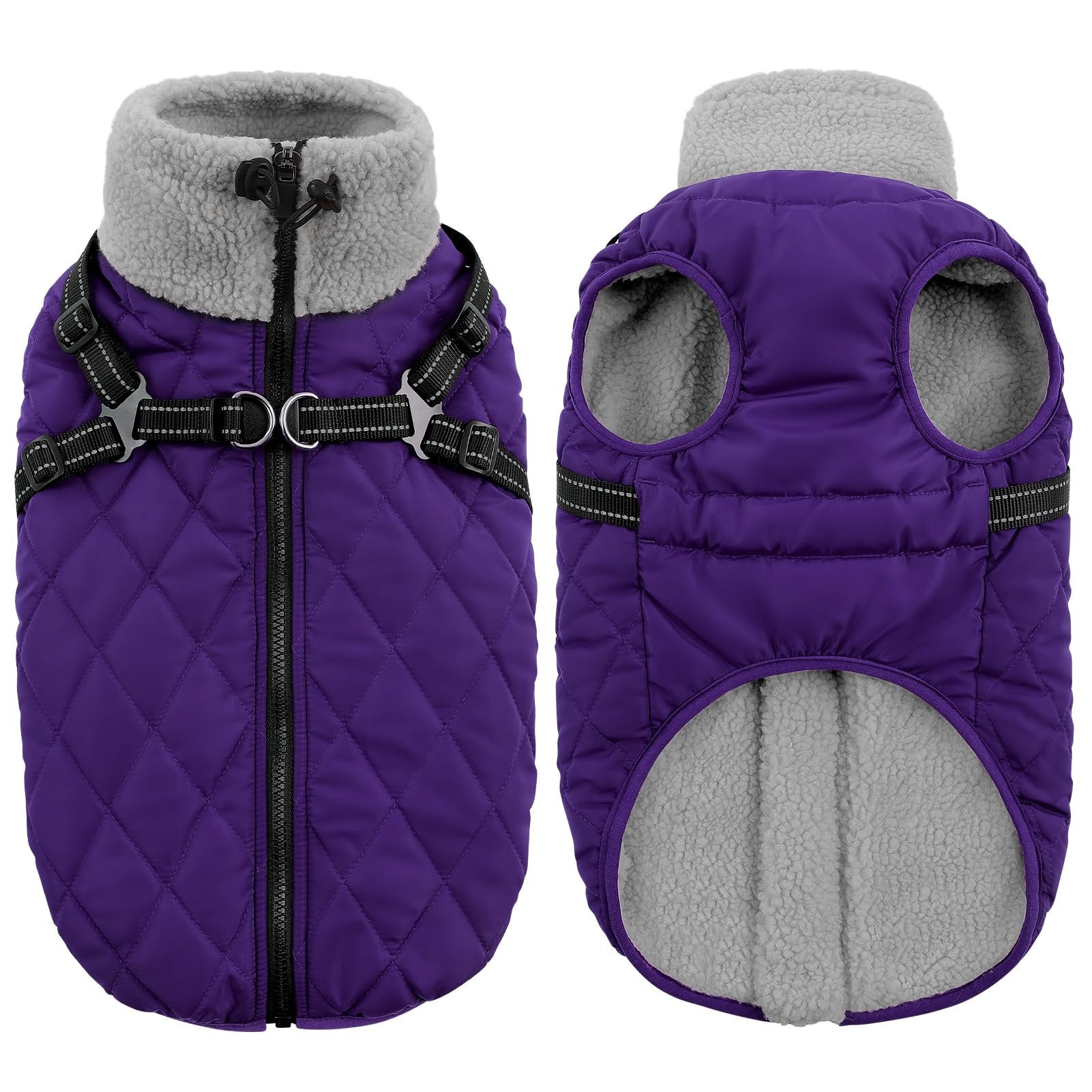 Queenmore Hundemantel Winter Hundejacke Kleine Hunde Wasserdicht