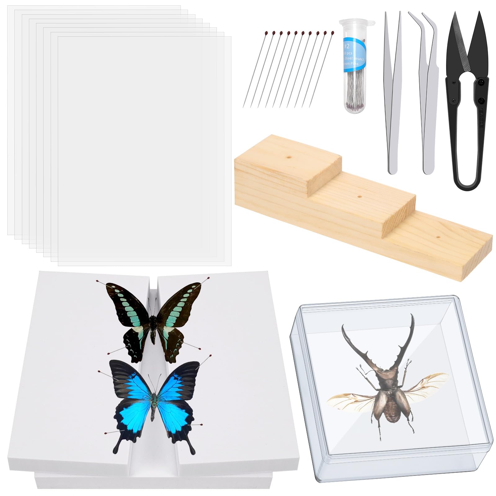 Tanstic Kit de herramientas para muestras de insectos, pinzas de insectos, vitrina de insectos, papel prensado de alas para colección de especímenes (114)
