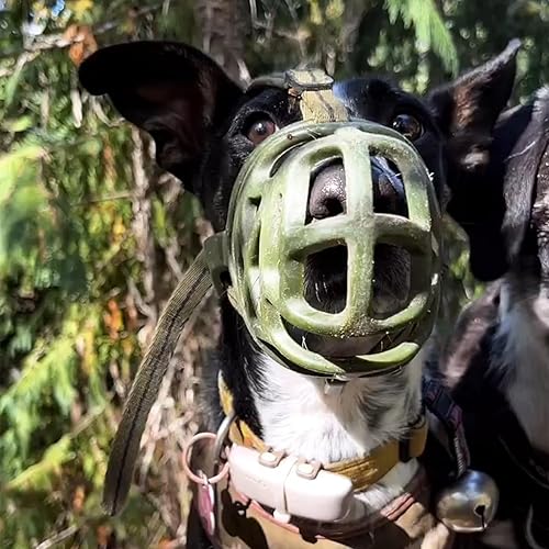 Vista 22 de Bozal para perro, bozal impreso para perros pequeños, medianos y grandes, perro salchicha, beagle, pastor alemán, bozales transpirables