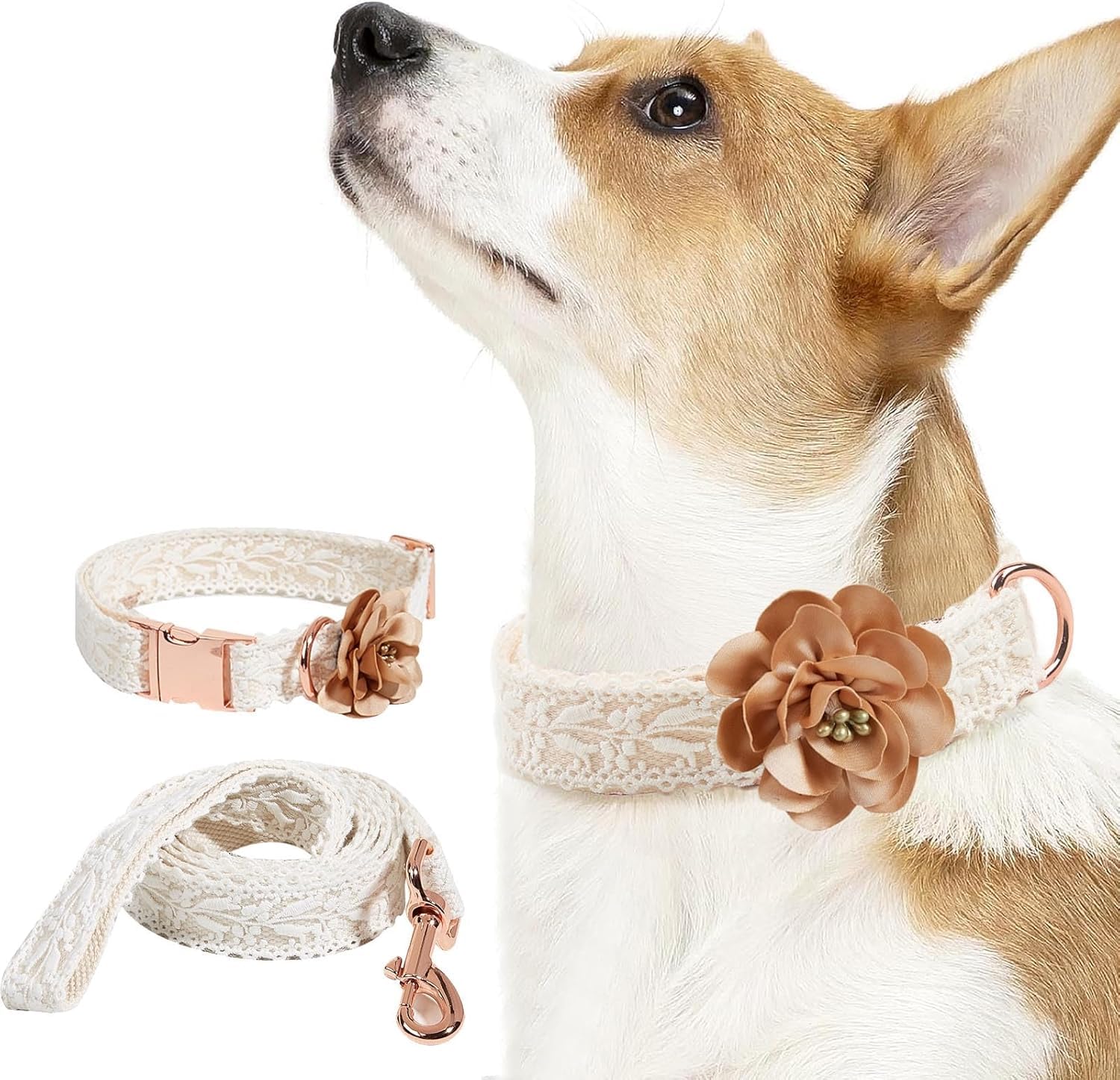 collare per animali domestici, Set collare e guinzaglio for cani, for in pizzo di cotone for bambine con fiore, comodi collari regolabili for fibbia in metallo(M)
