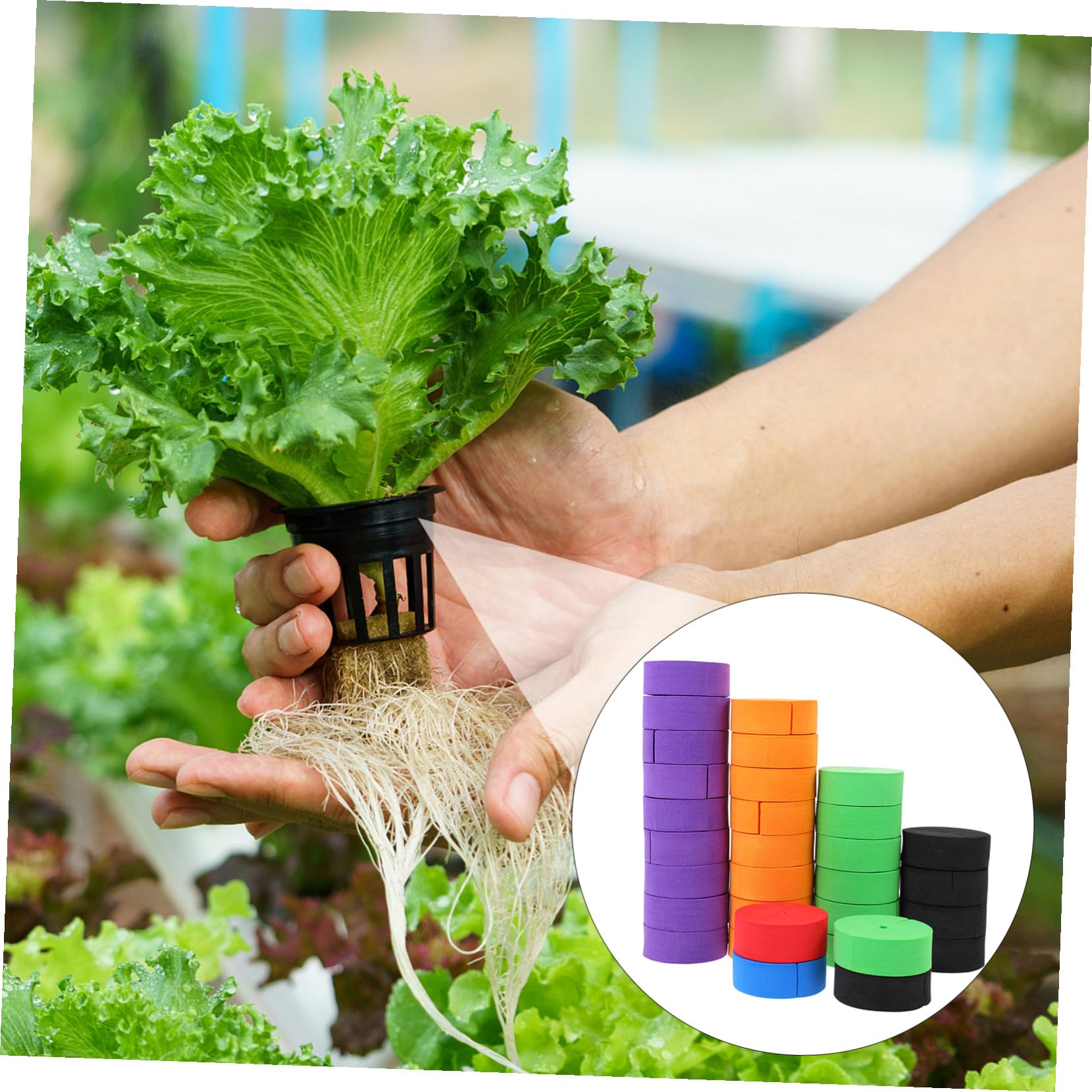 DOITOOL Bloques para Cultivo sin Suelo de Eva de Esponjas Hidropónicas 50 Ideales para Plantación de Semillas y Base de Jardinería de Vegetales Color Aleatorio