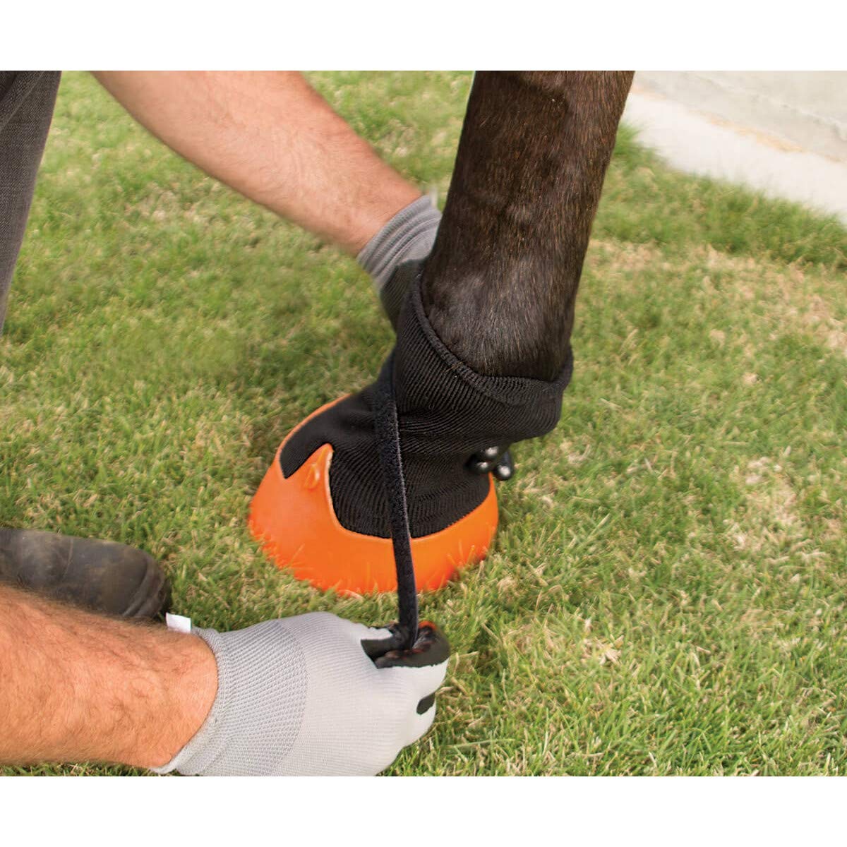 SHIRE'S EQUESTRIAN Shires Tubbease - Calzino per zoccoli, misura