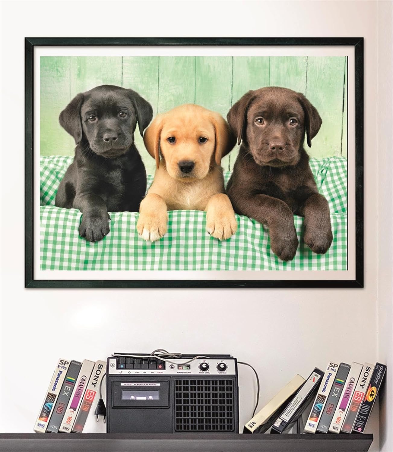 Clementoni - 39946 Puzzle 1000 Pieces for Adults and Teenagers, Collection, Three Labrador Theme, with Poster Included, Compact Box, Gift Idea for Men and Women, Made in Italy, 70 x 50 cm, 39946
