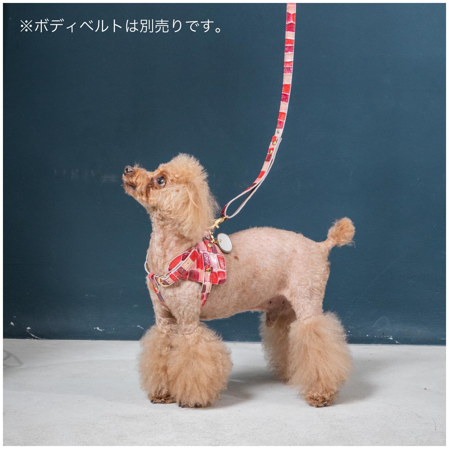Amazon | [Now&Fountain] 本革 リード (BCDタイプ/M,Sサイズ) (幅 1.5
