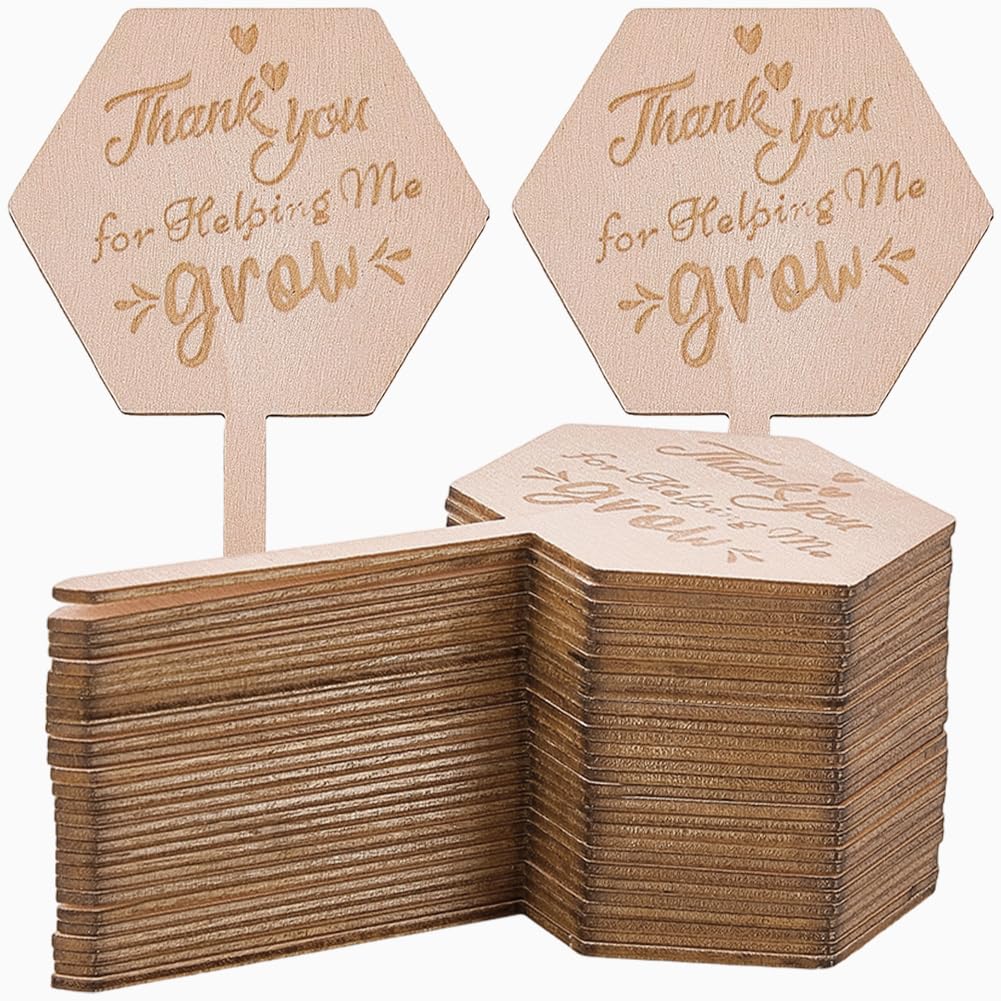 GORGECRAFT 30Pcs Thank You for Helping Me Grow Wood Sign Hexagon Wooden Succulent Plant Tags Labels Teacher Appreciation Gifts Garden Plant Stakes for Mothers Teachers Christmas Thanksgiving 10x5cm