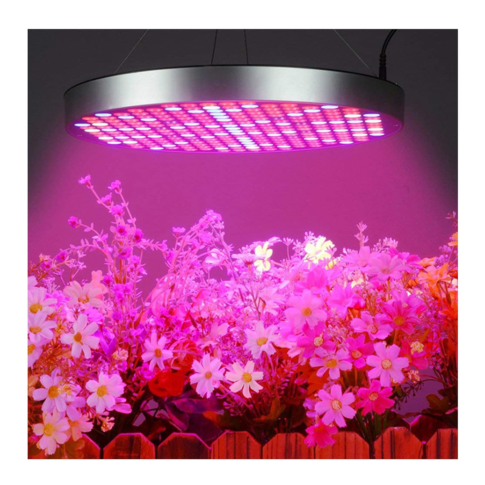 Oświetlenie LED do uprawy roślin, 250 diod LED Rośliny domowe Rosnące żarówki z zestawem do zawieszania roślin hydroponicznych w kolorze czerwonym i niebieskim Spectrum