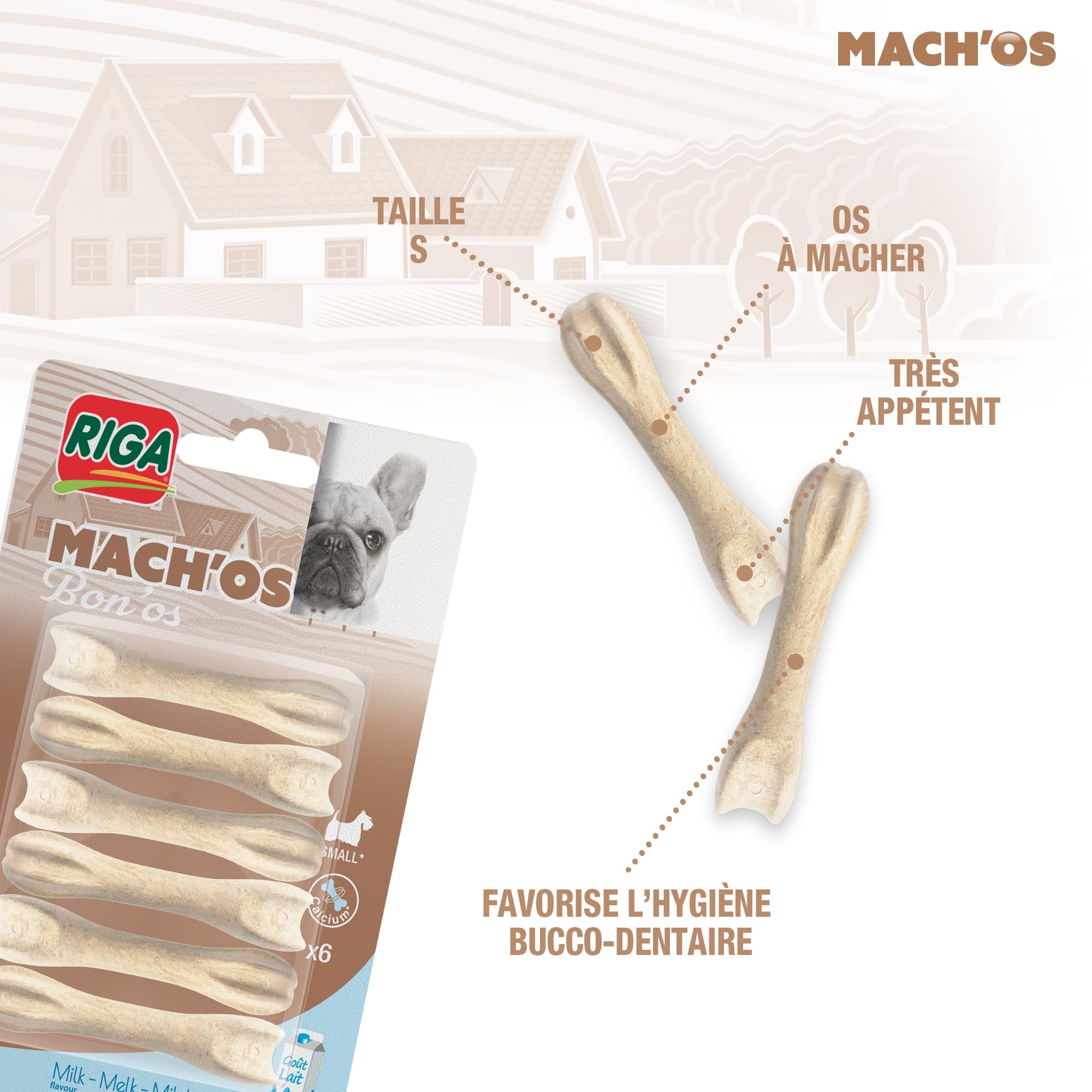 RIGA - Mach'os - Bon'os pour Chien S - Riche en Protéines Et Calcium - Hygiène Buccale - Mastication Et Récompense - pour Petit Chien - x 6