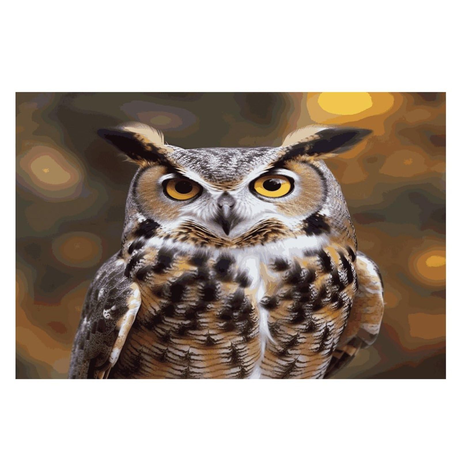Owl Birds Placemats Heat-Resistant Washable Place Mats Anti Slip Dining Table Place Mats Wipeable Dining Table Mats Kitchen Decoration Placemats 17.7’’×11.8’’