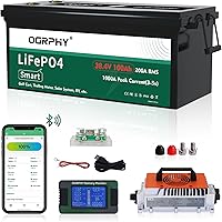 Vista 10 de Kit de conversión de batería de litio de 36 V, 200 A BMS, corriente máxima de 1,000 A, con monitor táctil y correa de retención, más de 4,000 ciclos