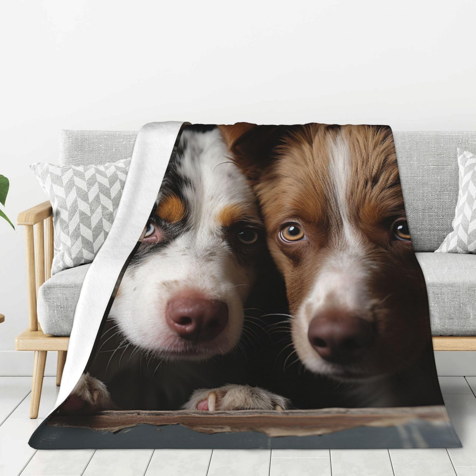 Plaid doux motif chiens rigolos pour vos soirées cocooning chaleureuses devant la télé