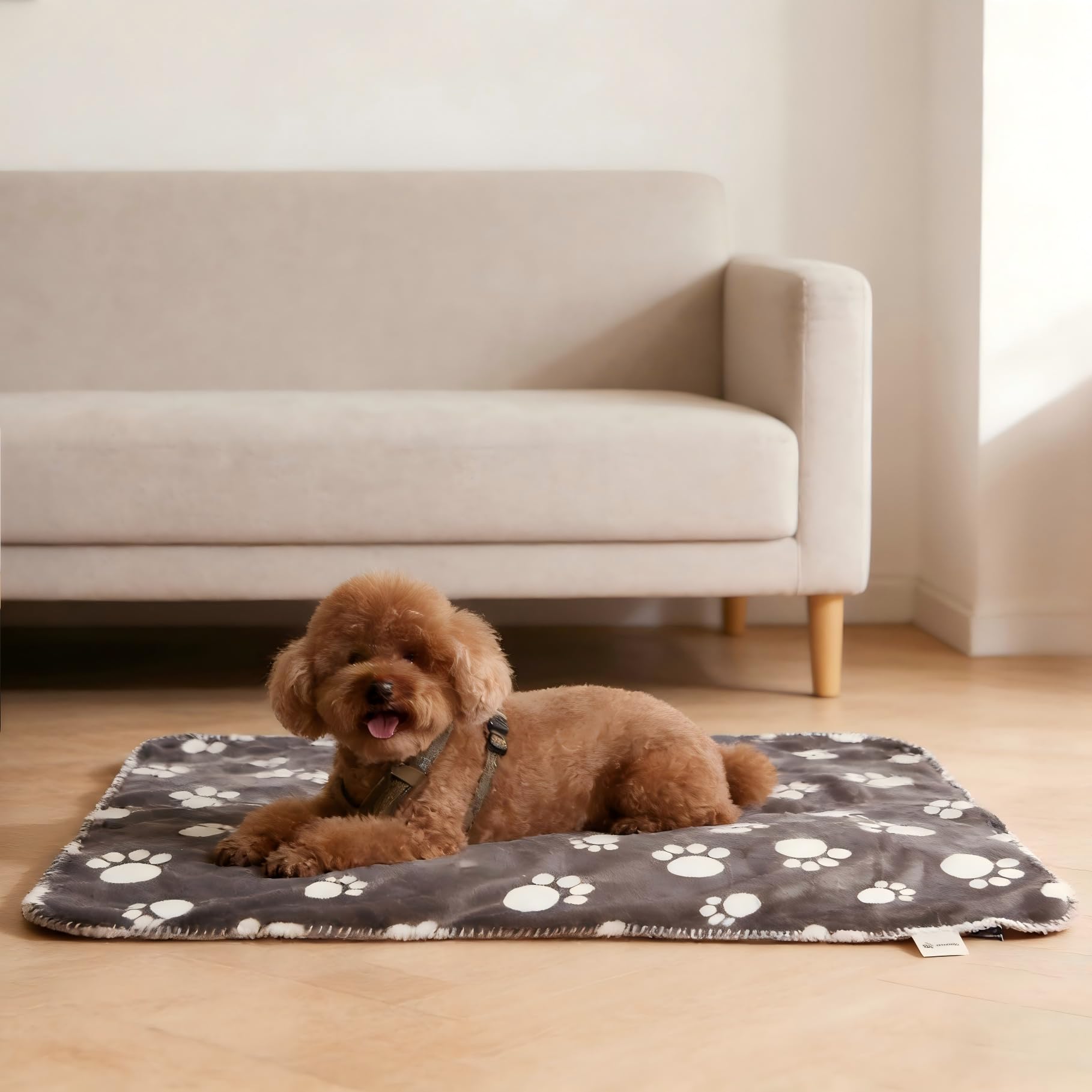 Couverture imperméable pour chien lavable en polaire Sherpa