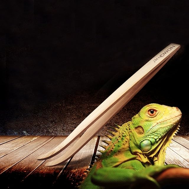 Foto 2 de 7 de GAOINTELL Pinzas De Alimentación Reptiles Madera Herramientas Alimentación Largo para Anfibios Reptiles…
