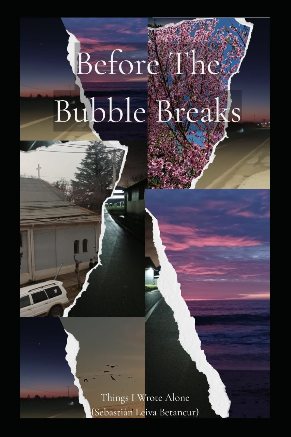 Before The Bubble Breaks: Poems from a Fractured Mind