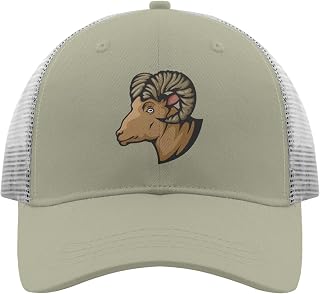 Amazon.com: Rams Hats