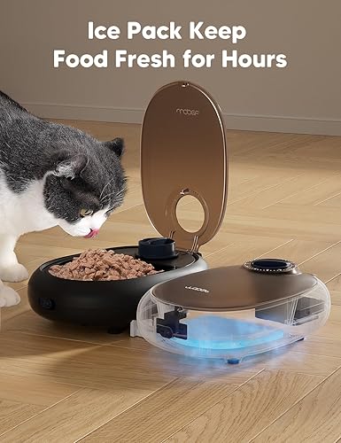 Miniatura 4 de WOPET Alimentador Automático para Gatos, Dispensador de Comida para Mascotas con Temporizador de 48 Horas con Envase de Hielo para Mantener la