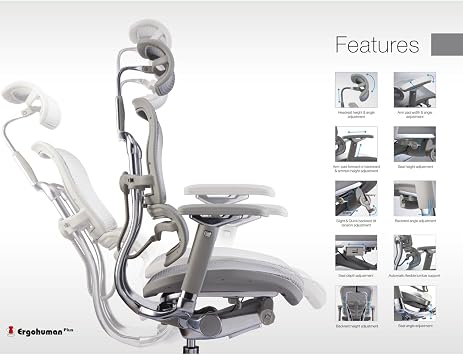 Ergohuman Executive Chairs (Gray)