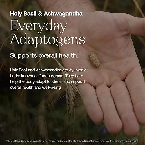 Miniatura 4 de True Grace One Daily - Minerales fermentados multivitamínicos para hombre adaptógenos orgánicos y setas para todo el cuerpo inmune resistencia apoyo