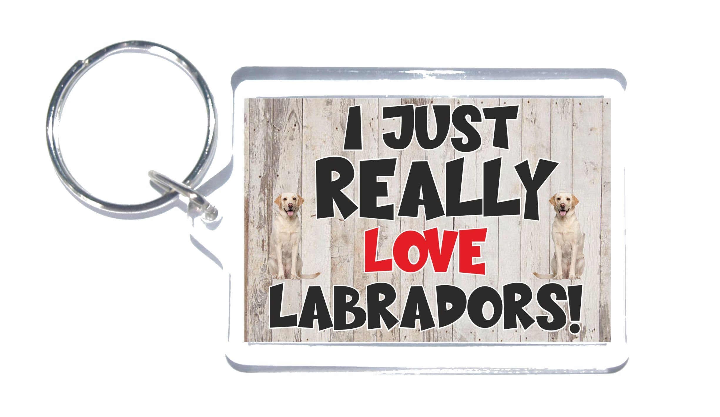 Nice Dog Gift – I Just Really Love Labradors – Novelty Keyring