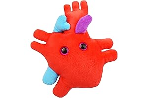 Giant Heart Plush Organ: Anatomical Heart Plush for Education, Heart Health Awareness, and Cardiac Gifts