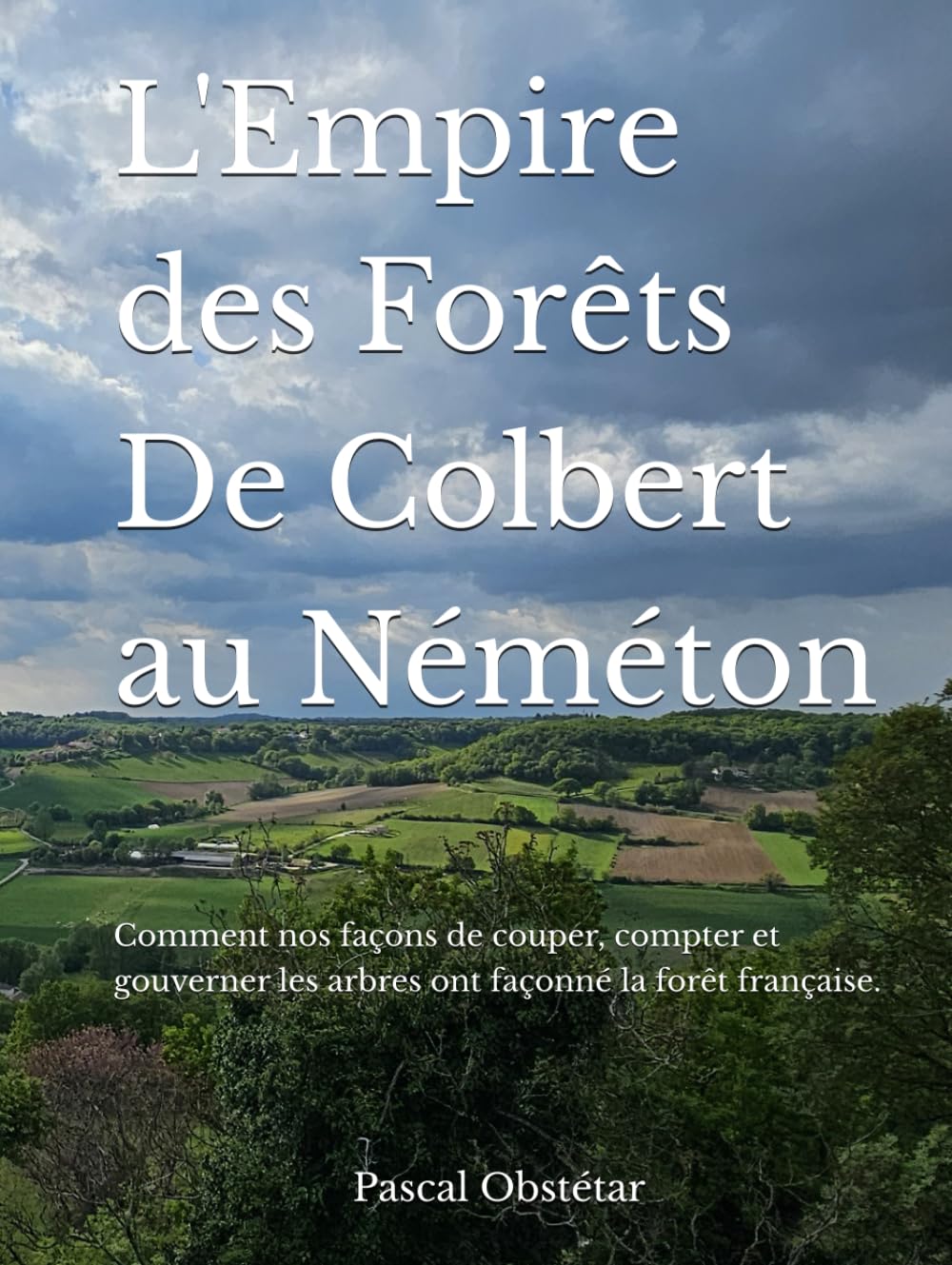 L'Empire des Forêts - De Colbert au Néméton: Comment nos façons de couper, compter et gouverner les arbres ont façonné la forêt française.