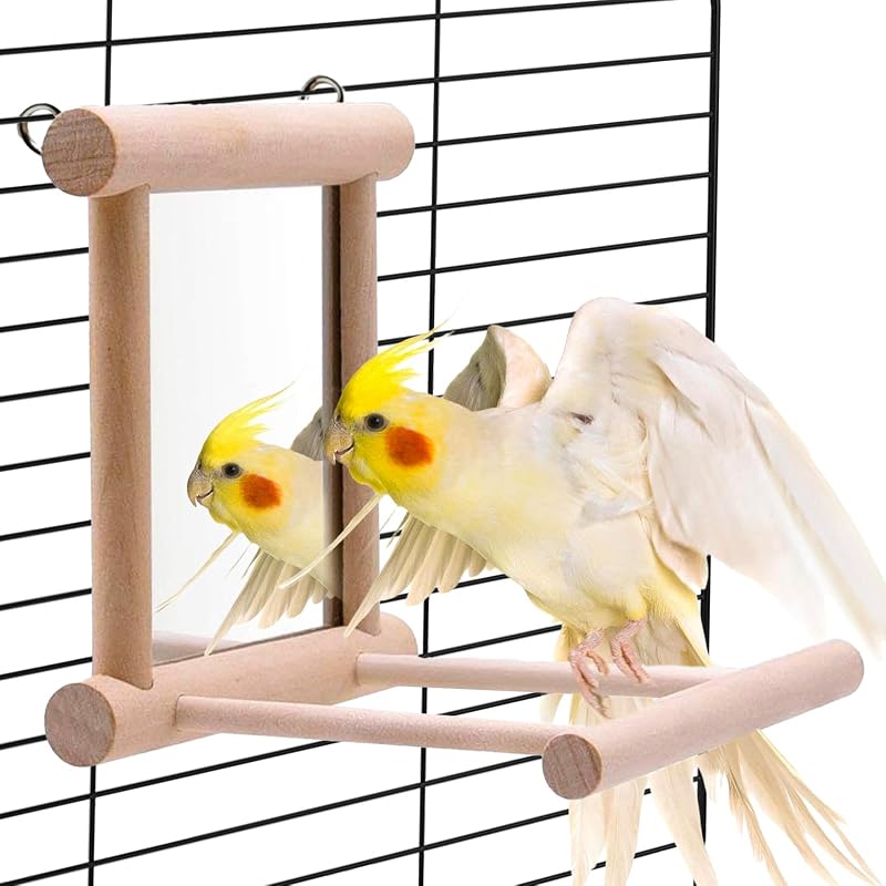 Espelho para Aves com Poleiro de Madeira e Ganchos Metálicos Hamiledyi – 9,91 x 9,91 x 9,91 cm