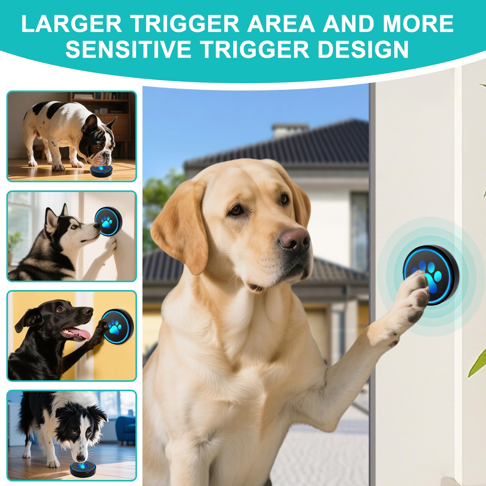 Dog Door Bell for Potty Training, Smart Wireless Doggie Doorbell to Go Outside, 1000 Feet Long Range with IP65 Waterproof Super-Light Touch Button, 60 Melodies & Adjustable Volume (2 Button) - image 7