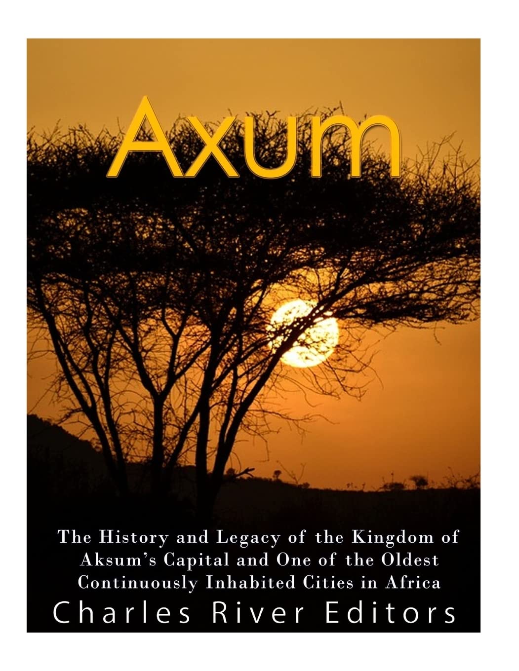 Axum: The History and Legacy of the Kingdom of Aksum’s Capital and One of the Oldest Continuously Inhabited Cities in Africa
