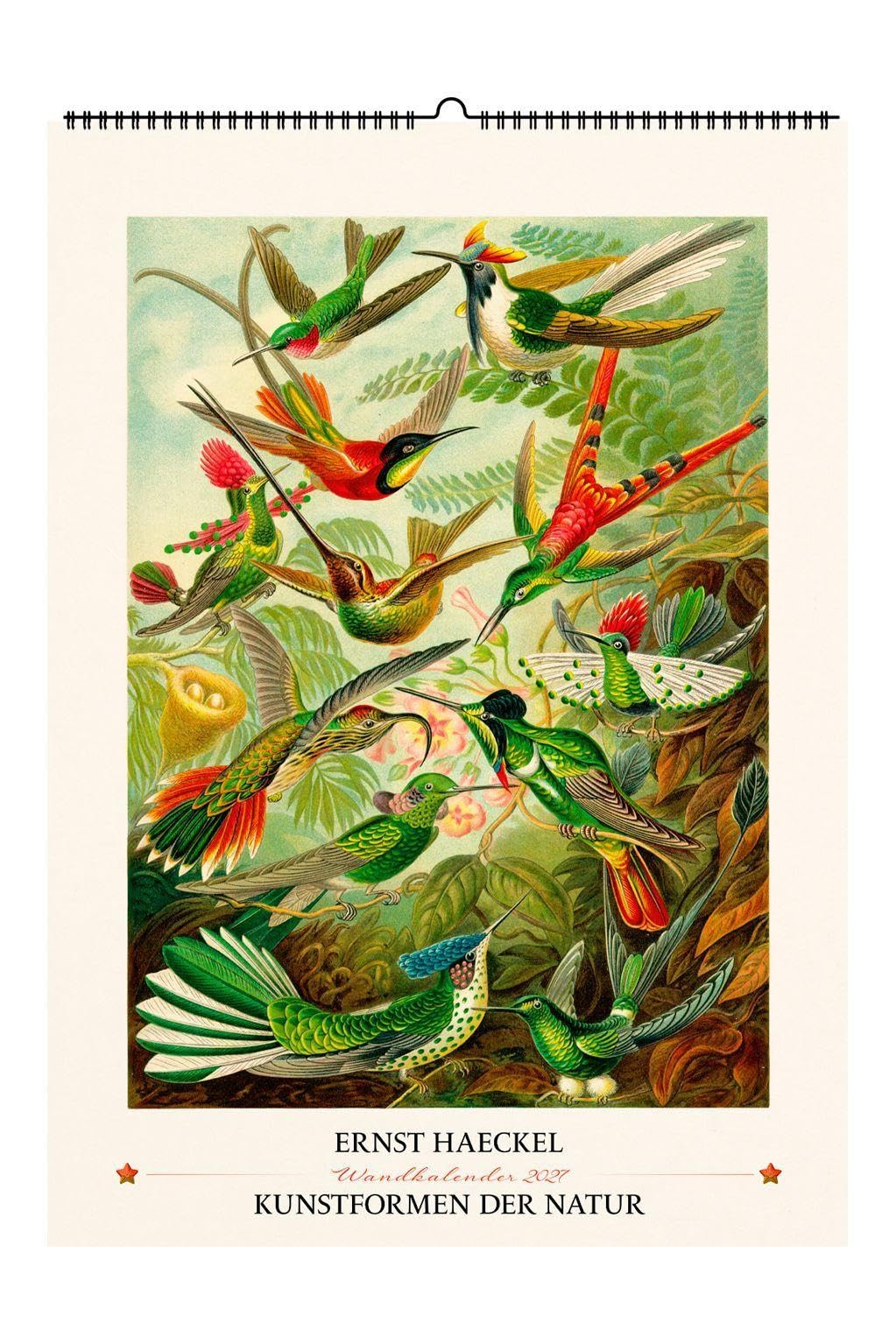 Ernst Haeckel. Kunstformen der Natur. Wandkalender 2027: 13 Motive aus Kunstformen der Natur
